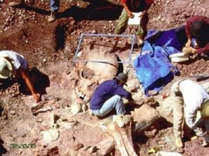 Descubren cementerio con aparentes restos de extraterrestres gigantes Esqueleosdelosgigantes12