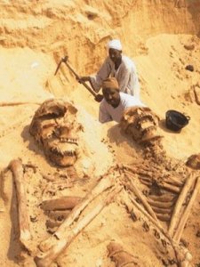 Descubren cementerio con aparentes restos de extraterrestres gigantes Esqueletosdegigantes71